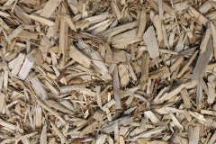 biomass boilers Dail Mor